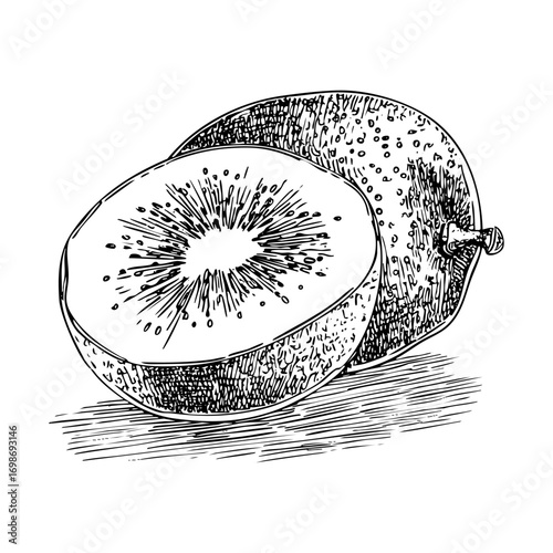 Detailed engraving of kiwi fruit halves. Fresh produce sketch, healthy food illustration, botanical drawing, and organic market design.