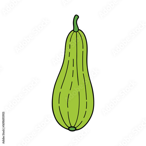 Ridge Gourd Vector Art