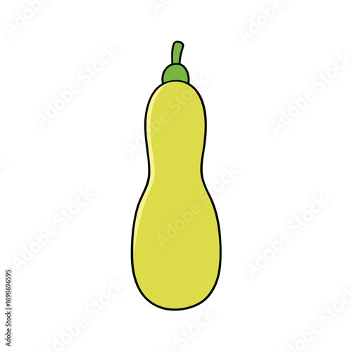Bottle Gourd Vector Illustration