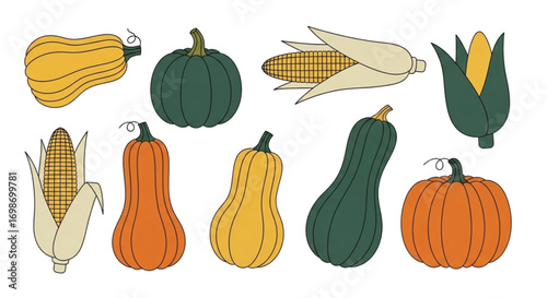 Set of autumn harvest vegetables including pumpkin squash and corn in a simple flat illustration style.
