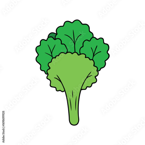 Kale Vector