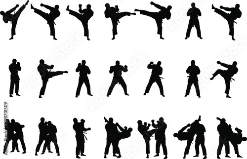 Silhouettes of martial arts fighters performing various kicks, punches, self-defense moves, combat training, karate poses, fighting techniques, MMA action, sport and fitness