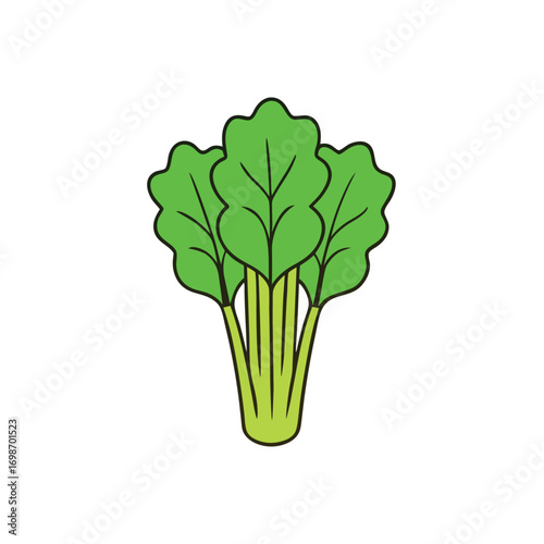 Mustard Greens Vector