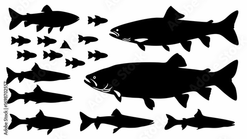 Dynamic school of diverse fish silhouettes swimming together in a fluid motion