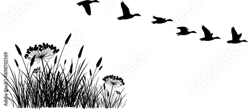 vector silhouette of duck bird flock flight over marsh herbs isolated on white background. group of wild ducks and typhaceae marsh herb with leaves and spike flowers