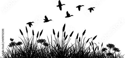 vector silhouette of duck bird flock flight over marsh herbs isolated on white background. group of wild ducks and typhaceae marsh herb with leaves and spike flowers