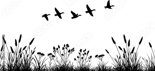 vector silhouette of duck bird flock flight over marsh herbs isolated on white background. group of wild ducks and typhaceae marsh herb with leaves and spike flowers