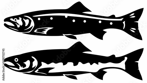 Dynamic black silhouettes of two powerful salmon swimming side by side, showcasing nature's aquatic grace.