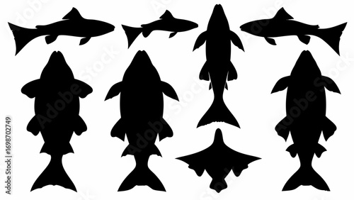 Diverse fish silhouettes showcase aquatic life from various angles for natural resource design