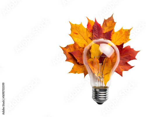 Light bulb filled with autumn leaves on white background with soft lighting and empty