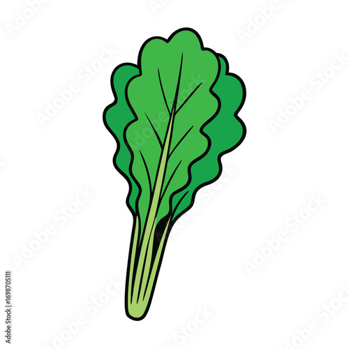 Red Amaranth Vector Illustration