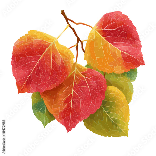 Autumn Display of Colorful Linden Leaves Vibrant With Seasonal Hues