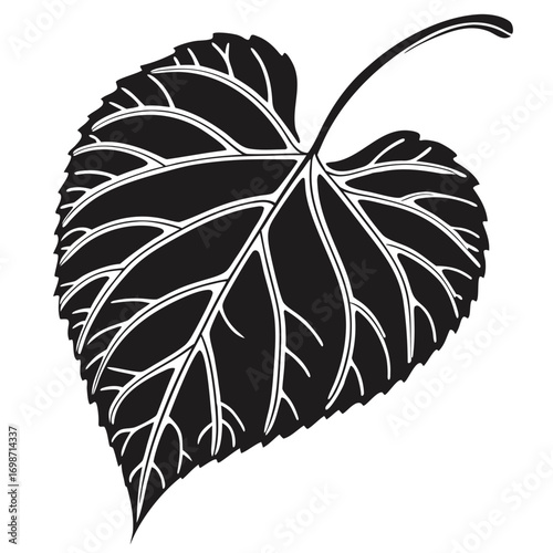 heart shaped leaves