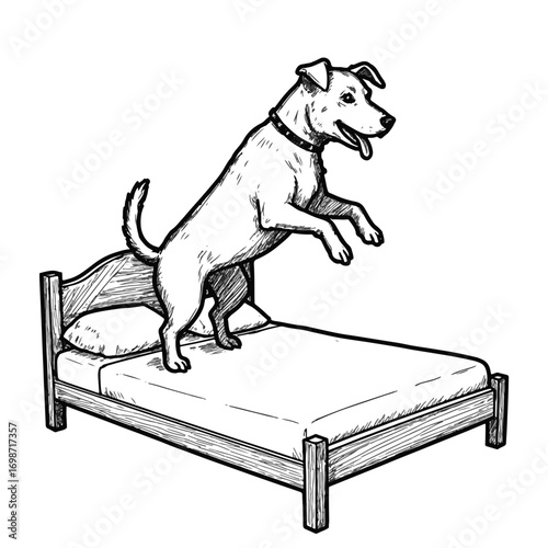 Excited dog jumping onto bed in playful moment, joyful energy