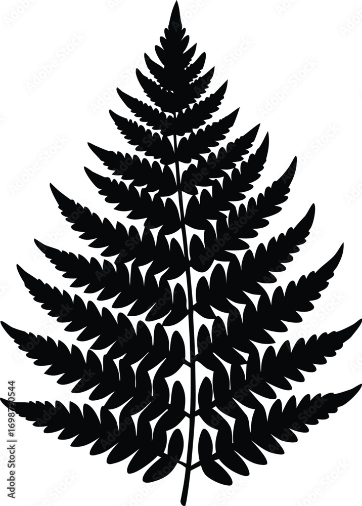 Fototapeta premium fern leave logo silhouette vector illustration