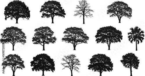 Realistic tree silhouettes collection with various leafy and bare branches, nature, forest, botanical designs, isolated black vector images, outdoor greenery set