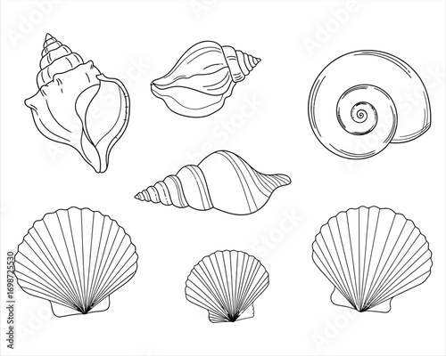 A colorful collection of assorted seashells, including scallops and conchs, rests on a sandy bacha colorful collection of assorted seashells, including scallops and conchs, rests on a sandy beach
