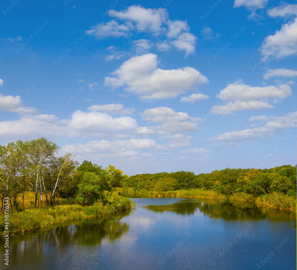 Fototapeta premium calm river with forest on the coast under blue cloudy sky