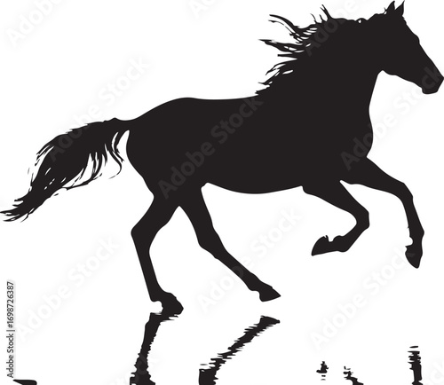 Silhouette of a horse galloping with a reflection running motion