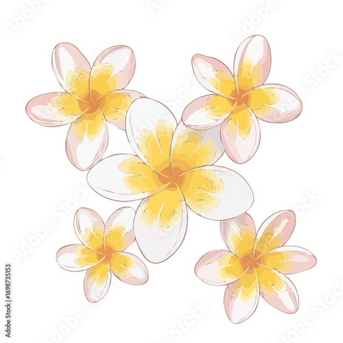 A delicate watercolor illustration of five white and yellow plumeria flowers arranged in a circular pattern.