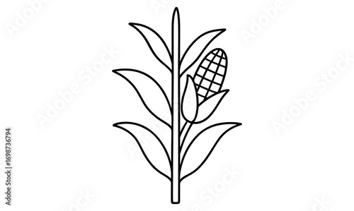 Corn plant outline with cob in minimalist linear style