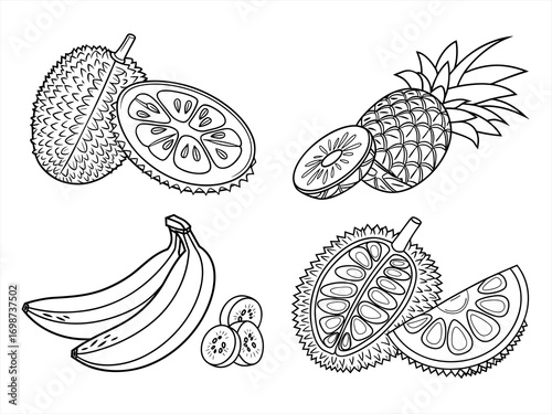 coloring page line art the fruit black vector bundle