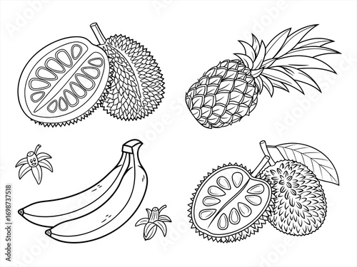 coloring page line art the fruit black vector bundle