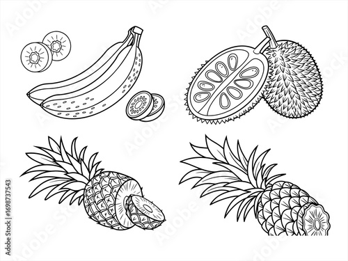 coloring page line art the fruit black vector bundle