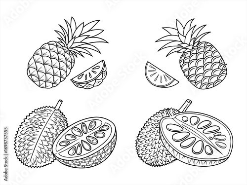 coloring page line art the fruit black vector bundle