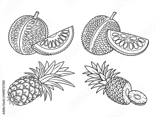 coloring page line art the fruit black vector bundle