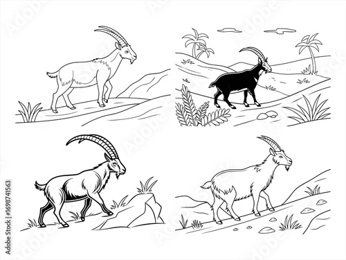 coloring page line art the sand goat black vector bundle