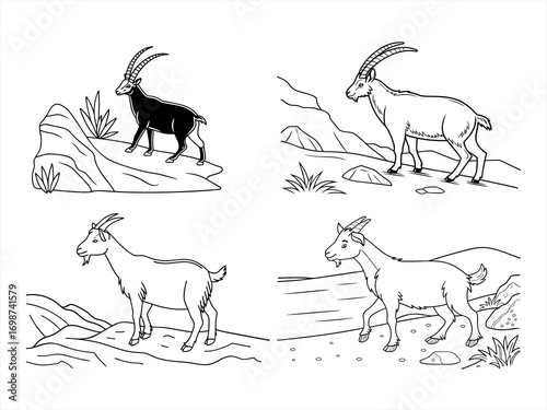 coloring page line art the sand goat black vector bundle