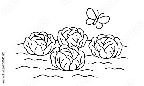 Black and white cabbage garden with butterfly outline for coloring