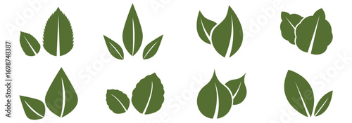Leaf sprout icon vector set, green leaves plant eco logo symbol simple graphic illustration set, vegan fresh herb pictogram shape sign, organic natural healthy logotype. Leaves vector icon set. EPS 10