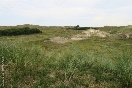 Wallpaper Mural Von der Thalassa-Plattform auf der Aussichtsdüne beim Dünensender auf Norderney sind Gräser, teils bewachsene Dünen und im Hintergrund Weißdünen zu sehen. Norderney ist eine deutsche Nordseeinsel. Torontodigital.ca