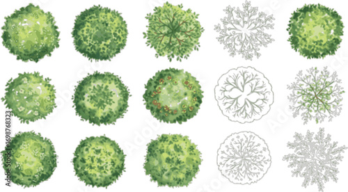 Watercolor Tree Top View Set – Vector Bush Crown Map Objects, Landscape Architecture Plant Design Elements, Garden Environment Spring Nature Illustration Kit