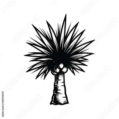 Hand drawn sketch of a tropical palm tree