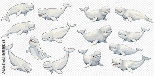 A collection of fifteen cartoon beluga whales in various swimming poses on a transparent background.