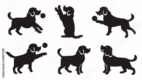 Playful dogs in various poses with balls, capturing joy and activity for pet-related projects.