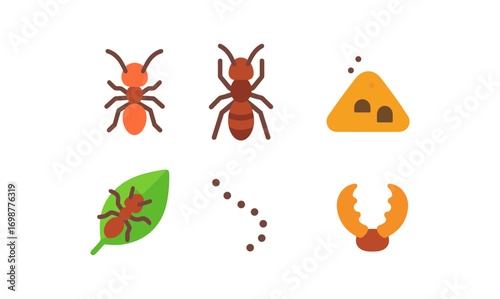 Minimalist ant collection with nest and trail elements in flat design
