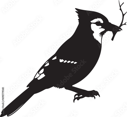 Black bird holding twig in beak silhouette
