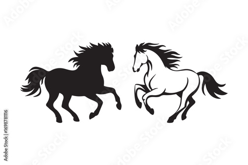 Two horses silhouette black and white dynamic pose