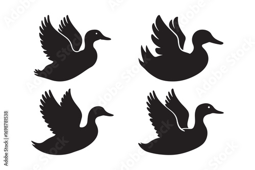 Four silhouettes of ducks in flight