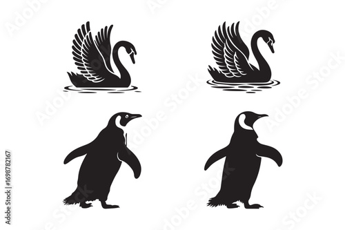 Black and white silhouettes of swans and penguins