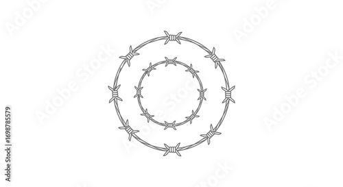 a coiled barbed wire forming an oval shape