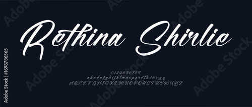 Hand drawn vector alphabet. Modern monoline signature script font. Elegant Signature Font. Best Alphabet Beautiful Calligraphy Signature Font. vector illustration 
