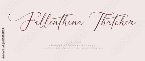 signature Font Calligraphy Logotype Script Brush Font. Handwritten Script Editable Text Effect Template. vector illustration 
