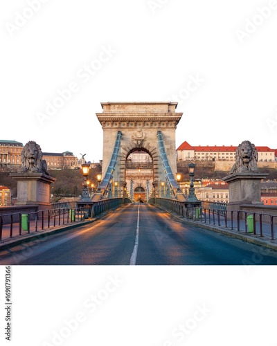 Photography chain bridge budapest hungary