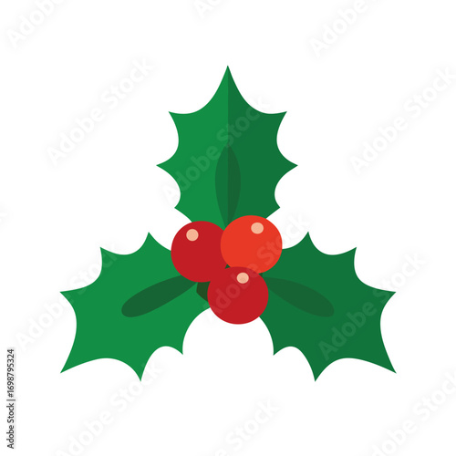 holly leaves with berries on white background