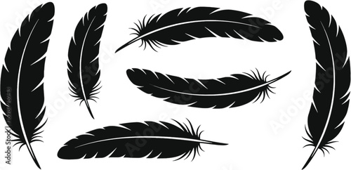 Vector art of set of elegant black feathers, perfect for adding a touch of sophistication to any design project or creative endeavor
